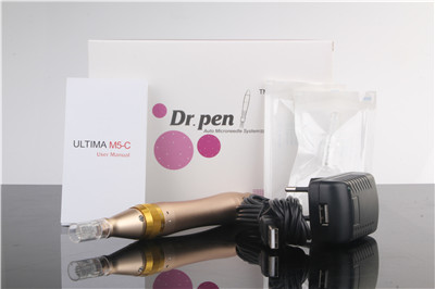 Micro needle Dr pen BL-02