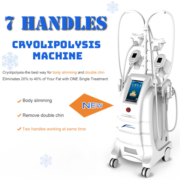 2018 hot selling crolipolisis cryolipolysis fat freezing equipment BL-CRYO05S