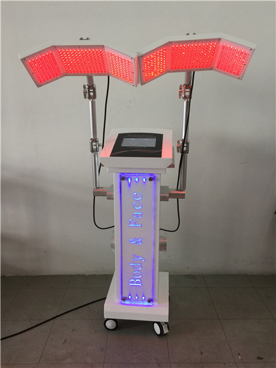 Double head PDT beauty machine BL-PDT04